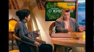 Бенгальские кошки серебрянного окраса