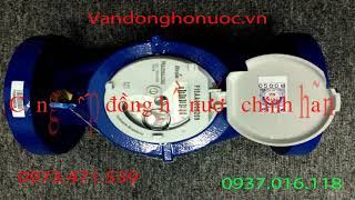đồng hồ Actaris