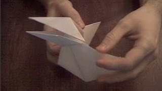 Каркающая ворона из бумаги оригами  Crow paper Origami
