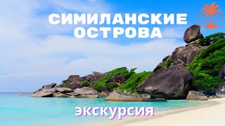 Симиланские острова обзор экскурсии 2019 с Tropic Tours  | Similan Islands Tour 2019