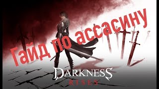 Darkness Rises - Гайд по ассасину