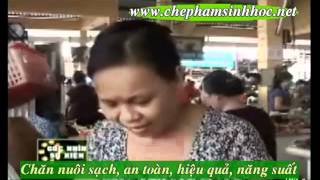 Chăn nuôi heo, lợn sử dụng chất tạo nạc ảnh hưởng người chăn nuôi 1