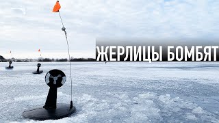 ЗАГАР ЗА ЗАГАРОМ! Рыбалка на жерлицы 2019-2020. Ловля щуки