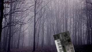 Roland JD-800 &  Korg Wavestation  "Grey Days"