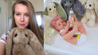СКАНДАЛ С ЗАЙКАМИ PIGLETTE