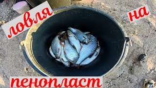 рыбалка на пенопласт 2019 сезон открытой воды продолжается