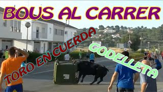 BOUS AL CARRER 2015 - GODELLETA (V) - TORO EN CUERDA ARREMETE A LOS CONTENEDORES - 1080 FULL HD