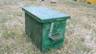 Как Ловить Рои ! Где ставить ловушки !