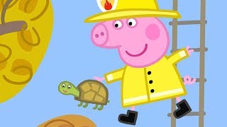 Peppa Pig Official Channel | Peppa Pig Saves Mr Tiddles!