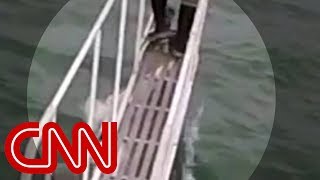 Watch shark jump at scientist on boat
