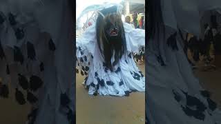 folia de reis didi(predador)