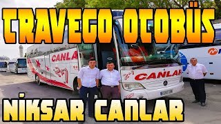 TRAVEGO OTOBÜS NİKSAR CANLAR TURİZM