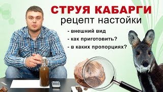 Струя кабарги как приготовить настойку? Мускус кабарги правильный рецепт.