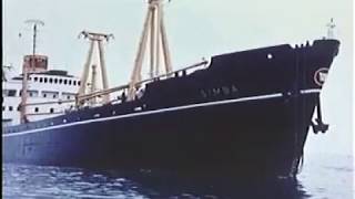 Полезные советы для судового механика/ 2 - Х ТАКТНЫЙ ДВС УСТРОЙСТВО И РАБОТА