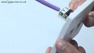 Cat 6 Cabling - Giganet Category 6 UTP Connector Termination