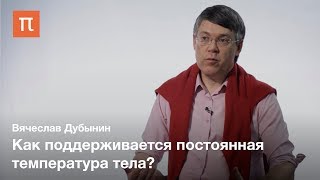 Внутренняя чувствительность — Вячеслав Дубынин