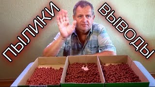 Пылящие бойлы из прикормки. Выводы.