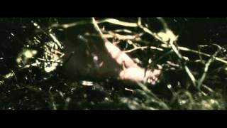 Русский трейлер фильма "Антихрист"