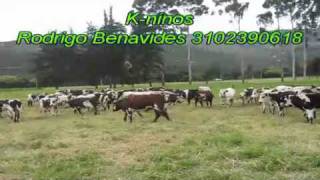 Taty Dulce y Anny con 80 novillos