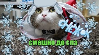 ДО СЛЁЗ СМЕШНЫЕ ПРИКОЛЫ 2018/ПРИКОЛЫ ПРО ЖИВОТНЫХ 2018/самые смешные приколы про котов, кошек и.т.д