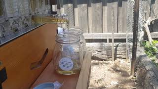 Flow Hive 2 Honey Harvest (First Time) 2019