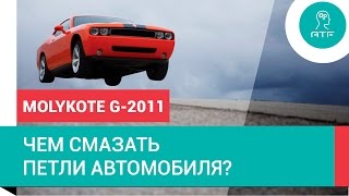 Чем смазать петли автомобиля? Molykote G-2011