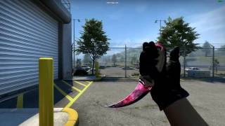 CS:GO Karambit Doppler Phase 2 ShowCase