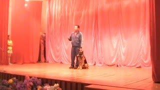 Dog Training. Мы с Ноем.Выступление на сцене.89237184920.