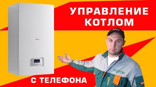 Котел Protherm. Система EctoControl. Термостат Teplocom.