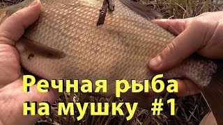 Речная рыба на мушку #1. Ловля весенней рыбы по холодной воде.