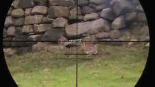 CZ452 STYLE Rimfire Vermin Control