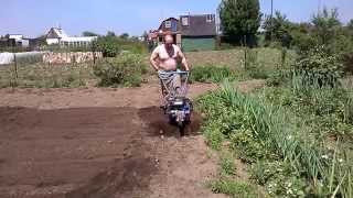 Вспашка огорода мотоблоком Мастер Ярд MT 70R TWK+
