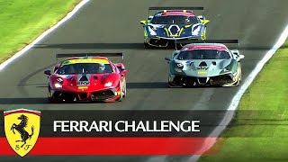 Ferrari Challenge UK: Oulton Park highlights