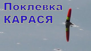 43- Поклевка КАРАСЯ на поплавочную удочку. Рыбалка, Fishing. Ловля Карася. Рыбалка