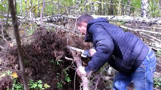Новый проект.  Часть 1. Поиск коряг для акваскейпа.