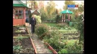 Урожайные грядки
