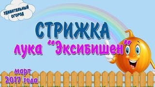 Стрижка лука Эксибишен