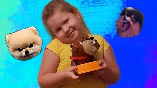 Настольная игра СОБАКА КУСАКА. Обзор игры Осторожно злая собака \ Мальвина TV