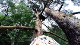 Tree climbing Наткнулся в поле на Лабаз самолаз тристенд для охоты