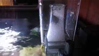 Скиммер MACRO AQUA NS 16