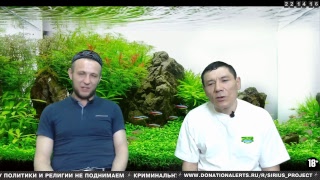 Прямая трансляция пользователя Проект Сириус Трансляции. Тюрьма. Зона. Лагерь