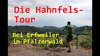 Die Hahnfels-Tour - Wandern im Pfälzerwald - Trekking - Outdoor