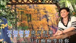 IVY HIEW 邱愛惠 默默盼歸期