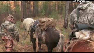 Охота на лося по Якутски. Различные виды охоты на лося . . 2018