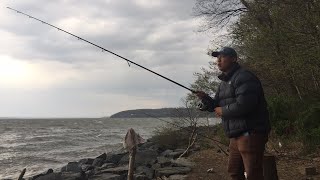 LIVE! Striper fishing from shore BTS