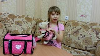 Чичи лав собачка! My Chichilove! 1с
