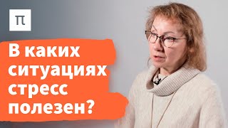 Фазы общего адаптационного синдрома — Анна Усенко 