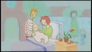 KiKa erklärt wie Kinder entstehen (Wohin will Willi) Rus Откуда берутся дети?