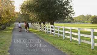 Unexpected Miracles - Horses Healing Humans
