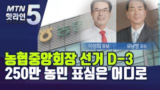 농협중앙회장 선거 D-3, 250만 농민 표심은 어디로 / 머니투데이방송 (뉴스)